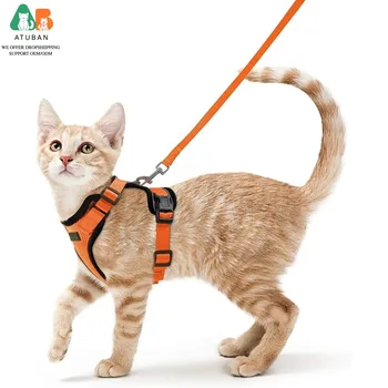 Reflective Cat Harness Set 1