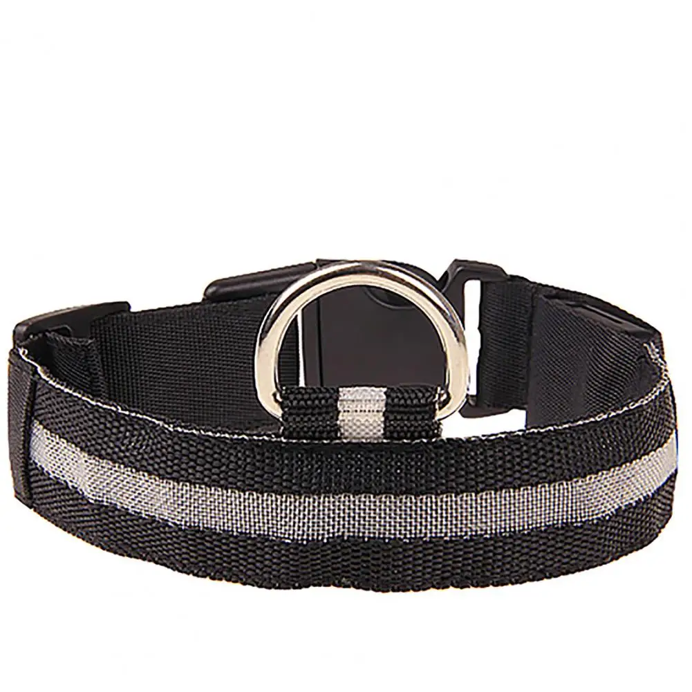 Dog Collar and Pet Collar LED USB Glowing Dog Collar Adjustable Flashing Neck Strap Rain Resistant Nylon
