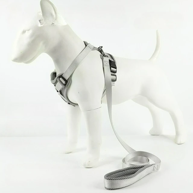 Pet Chest Strap Chest Back Clothing Vest Type Leash Dog Rope Reflective Anti-break-free Breathable Medium and Small Dog Strap 4