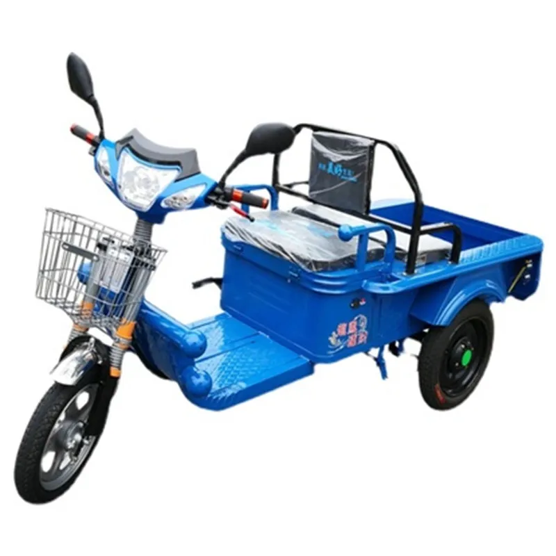 3 Wheel Electric Cargo Bike For Adults 60V 600W Dual Drive Electric