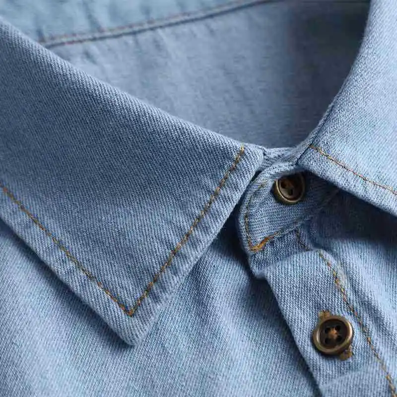 Рисунок 3 - Зимний шикарный однотонный фальшивый