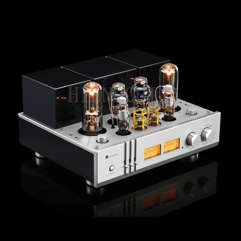 Рисунок 3 - Вакуумная трубка MUZISHARE X30