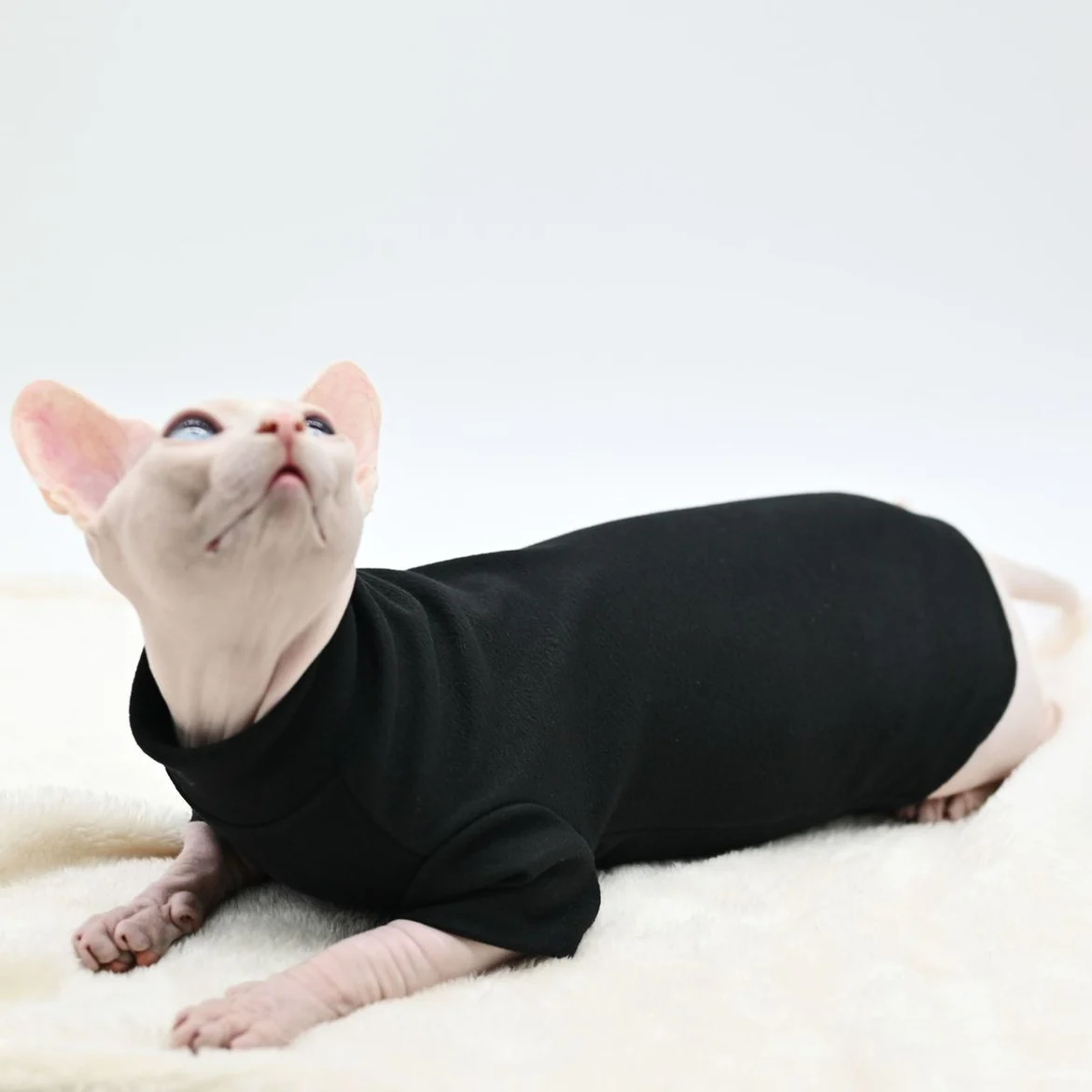 고양이와 개를 위한 세련되고 따뜻한 스핑크스 조끼, 털이 없는 고양이, 데본 렉스, 콘월 렉스, 작은 고양이와 개