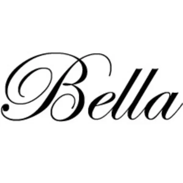BELLA Fashion Earrings Necklaces Rings Hairpins Store