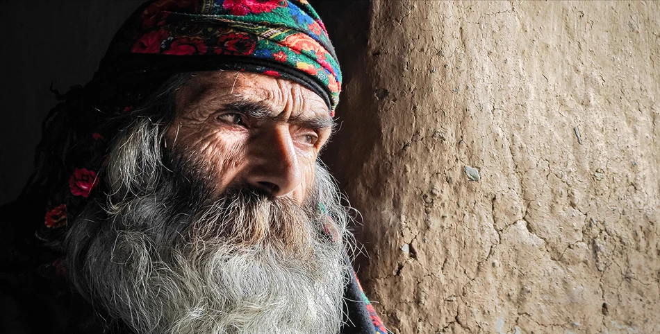 Смартфон Xiaomi 13 Ultra 12/256 ГБ CN, Dual nano SIM, зеленый - купить в интерне