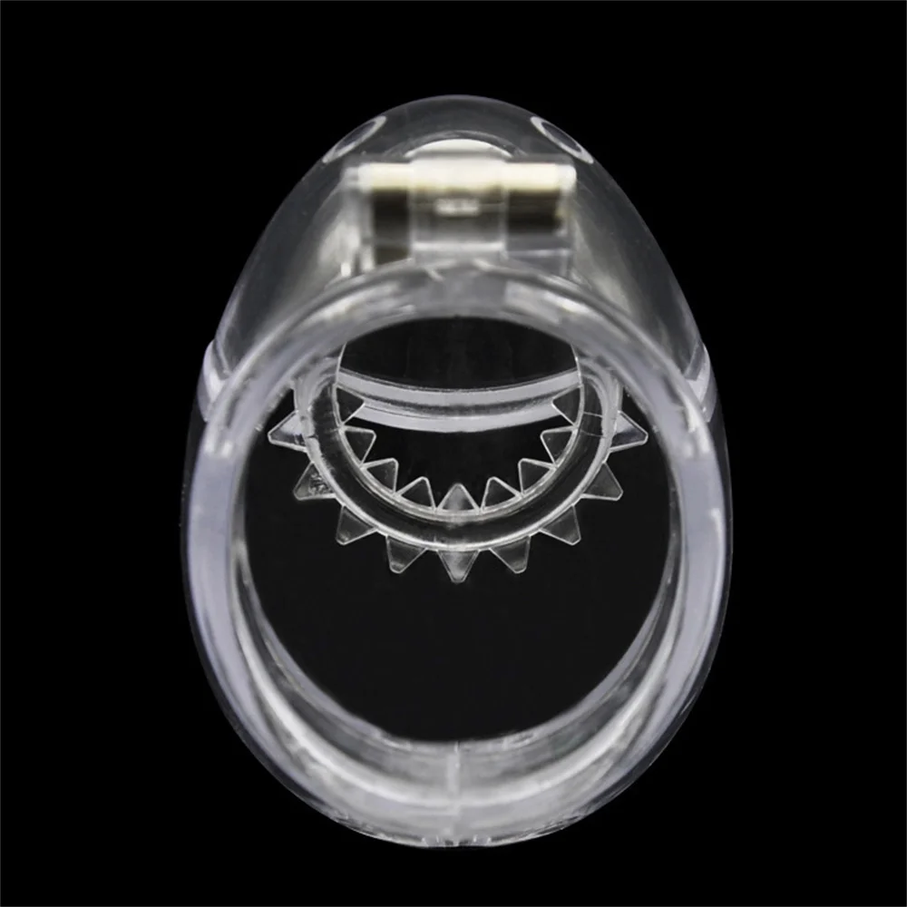 Detachable Bondage Egg Type Male Chastity Cage With Barbed Ring Scrotal Ball BDSM Chicken Cage Penis Stretcher Abstinence SexToy