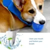 Fetch Spike Balls TPR Training Sounding Toys for Pet Small Dogs Puppy Rubber Bright Colors Chew Teething Tooth Cleaning Toys 4