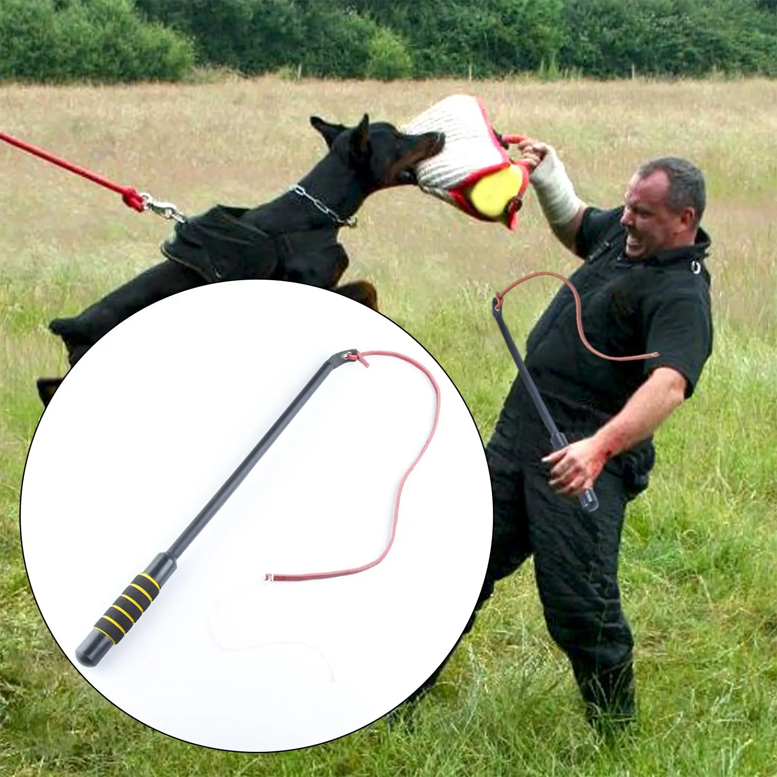 Professional Dog Training Leash Tools Aggressive Toy Rope Tool for Medium Large Dogs Horse Dog Behavior Management German