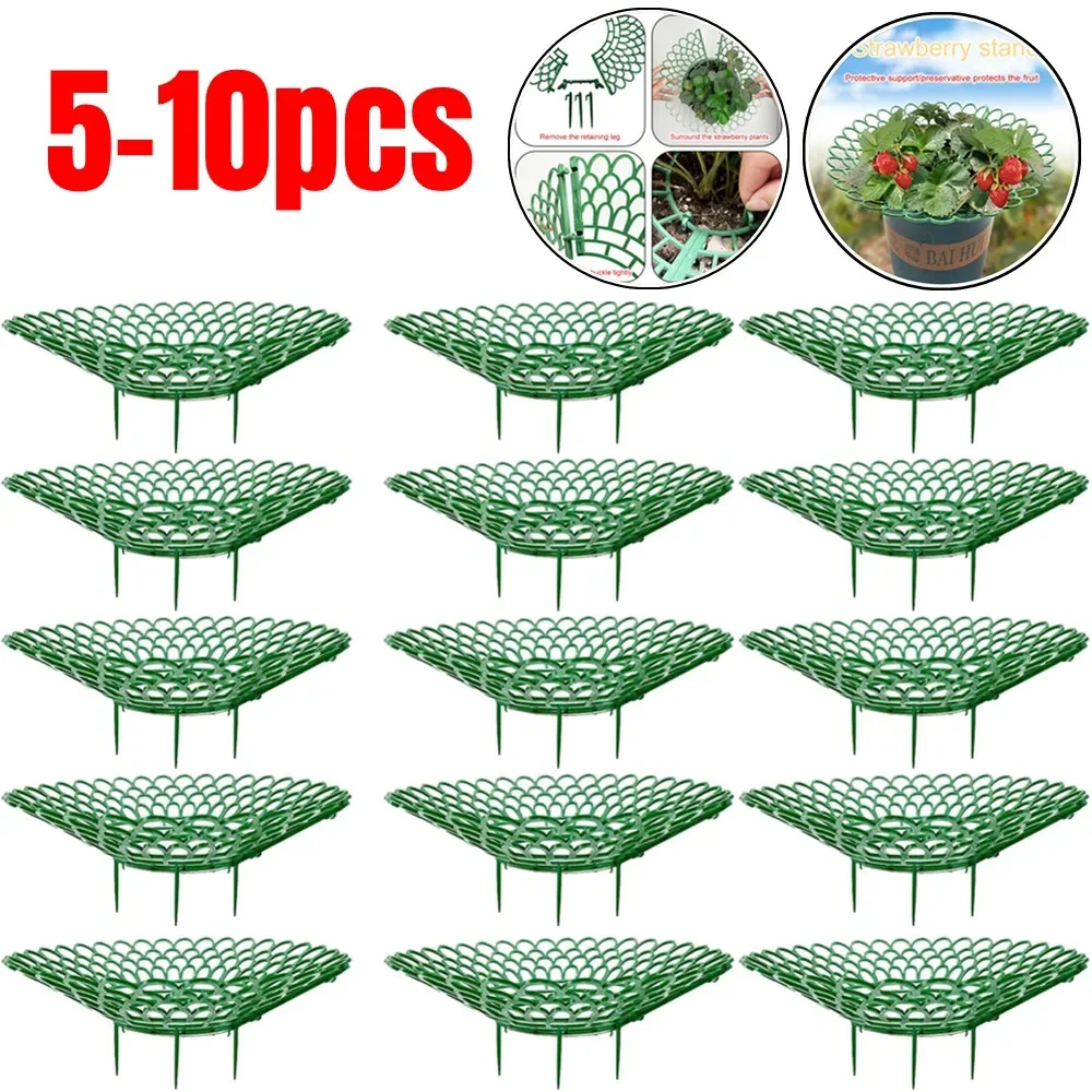 

5-10Pcs Strawberry Plant Supports With 3 Sturdy Leg Strawberry Growing Rack Protector Frame Holder Cage From Mold Rot Dirt