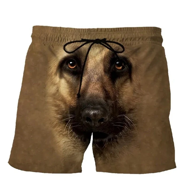 New Funny Animals Dog Hawaiian Beach Shorts Cute Pets 3D Print Men Surfing Board Shorts Oversized Swimwear Trunks Kids Clothing 6