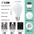 12W Cold White