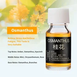 Water Soluble Aromatherapy Essential Oil for Humidifiers and Diffusers (Osmanthus A 1pc)
