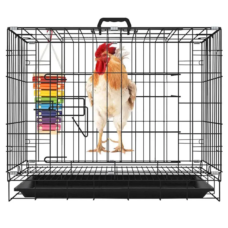 Chicken Toy Ringing Qin 7 Tone Factory Spot Parrot Toy Bird Supplies Utensils Bird Toys