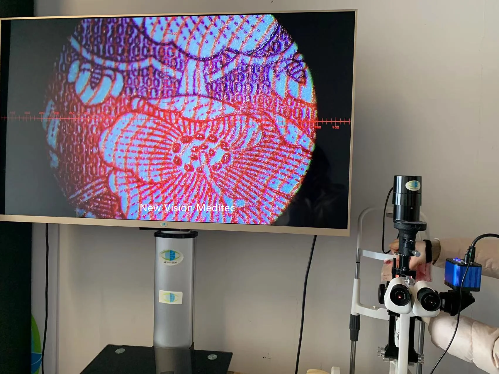 Mochii Zeiss 古典鏡玉‼️ ZEISS Microscopy Online Campus | Interactive Tutorials | Objective