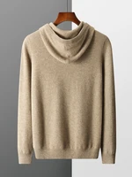 New Autumn Winter Men's Cashmere Hoodie Sweater 100% Merino Wool Hooded Pullover Large Size Knitwear Quality Soft Casual Jumpers 2