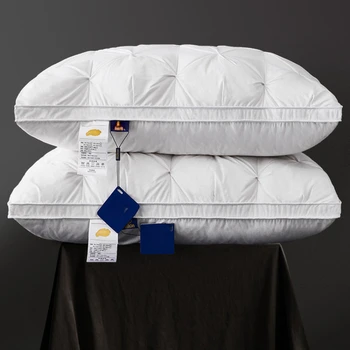 Luxury Goose Down Pillow 1