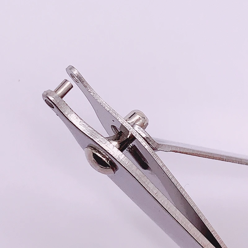 Experimentelle Verwendung von Maus-Ratten-Loch-Ohrstanzer zur Lochmarkierung mit 2 mm Durchmesser – Detail 4