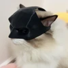 Cat Avenger Mask Black Bat Halloween Cosplay Hat Cat Funny Toys Cool Cat Masks Photos Props Pet Accessories 4