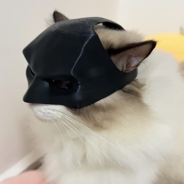 Cat Avenger Mask Black Bat Halloween Cosplay Hat Cat Funny Toys Cool Cat Masks Photos Props Pet Accessories 4