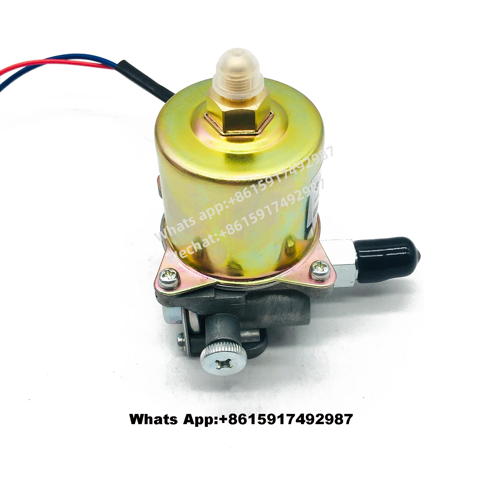 c653 香合　酸漿 c653 香合 酸漿