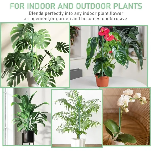 3/24PCS Twig Plant Support Brackets Stackable Green Plants Growth Stakes Detachable Monstera Climbing Stakes for Indoor Outdoor 4