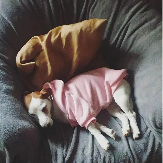 Dog Clothes Hoodies 3
