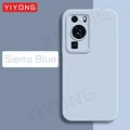 Sierra Blue