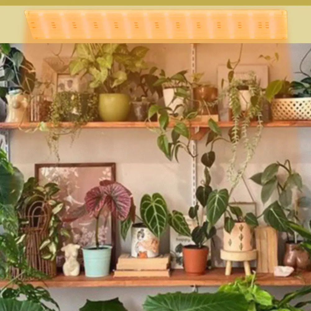 S80d1207402164d169224cbb0188246ade