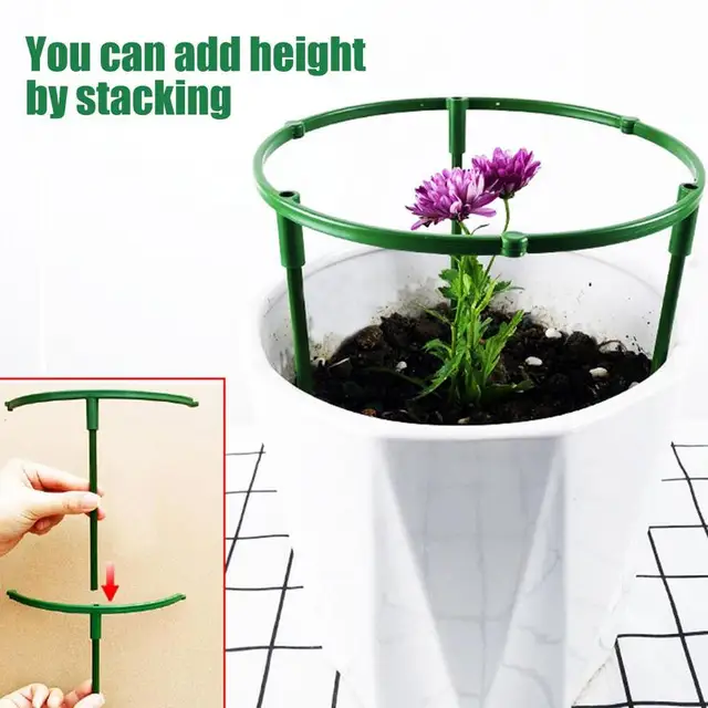 Növényi Tét És Támaszkodik A Zöld Szárú Virág Félkerekes Támogatáshoz, Nem Könnyű Rozsdásodni Kellékek Használatával - Image 4