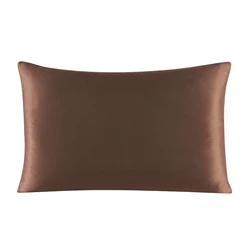 Premium 100% Mulberry Silk Pillowcase with Zipper - Luxurious and Healthy Sleep in Multicolor Options - 40x80 cm (Coffee)
