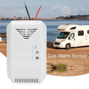 Alarma De Gas 2 en 1 a 12V Para Glp y CO2 Furgoneta Camper Autocaravana  Madrid