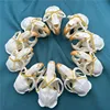 1/2/3/5/10 pcs animal skull real muskrat skull collection specimen crafts about 6-8cm Taxidermy 1