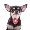 50PCS Dog Bowties Pet Grooming Summer Cute Small Dog Cat Bow Tie Neckties For Dogs Pets Grooming Products Dog Supplies 6