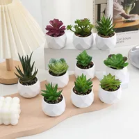 Artificial Succulent Bonsai Plants Simulation Succulents Mini Evergreen Bonsai Cactus Succulent Plastic Fake Plants Decor 1