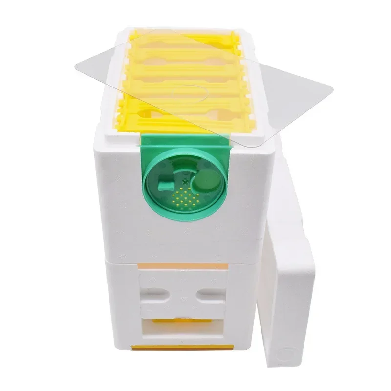 Double-Layer Foam Beehive Queen Bee Cultivation Bee Cross Tail Box Small Household Foam EPS Hive