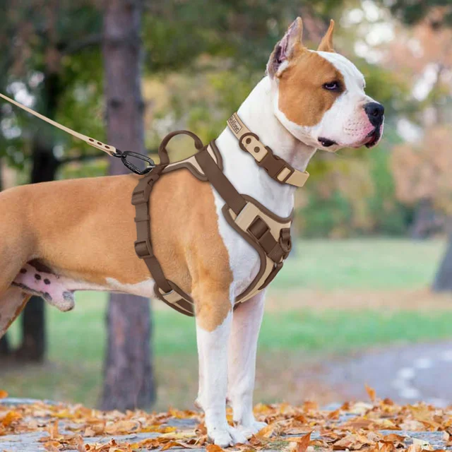 3-piece No Pull Dog Harness And Leash Set 1