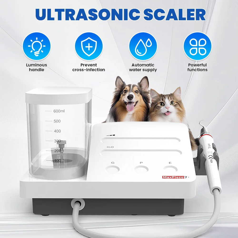 Veterinary Dental Ultrasonic Scaler veterinary Dentistry Machine Equiment