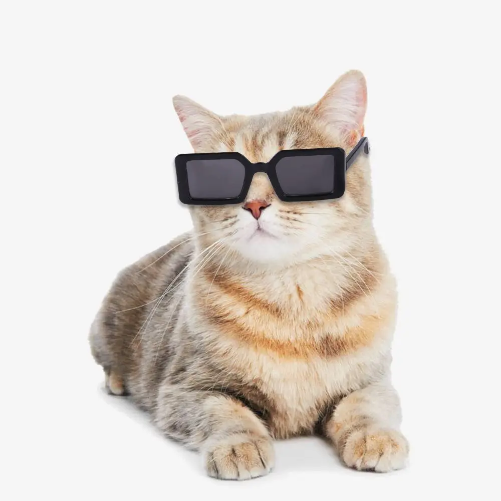 Dog And Cats Sunglasses - PeticaDeals