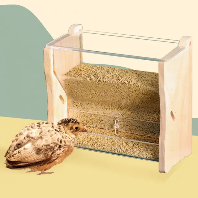 Bird Feeder Practical Large Capacity Easy to Refill Pet Bird Feeder with Dust-proof Lid Bird Food Holder Splash-proof 4