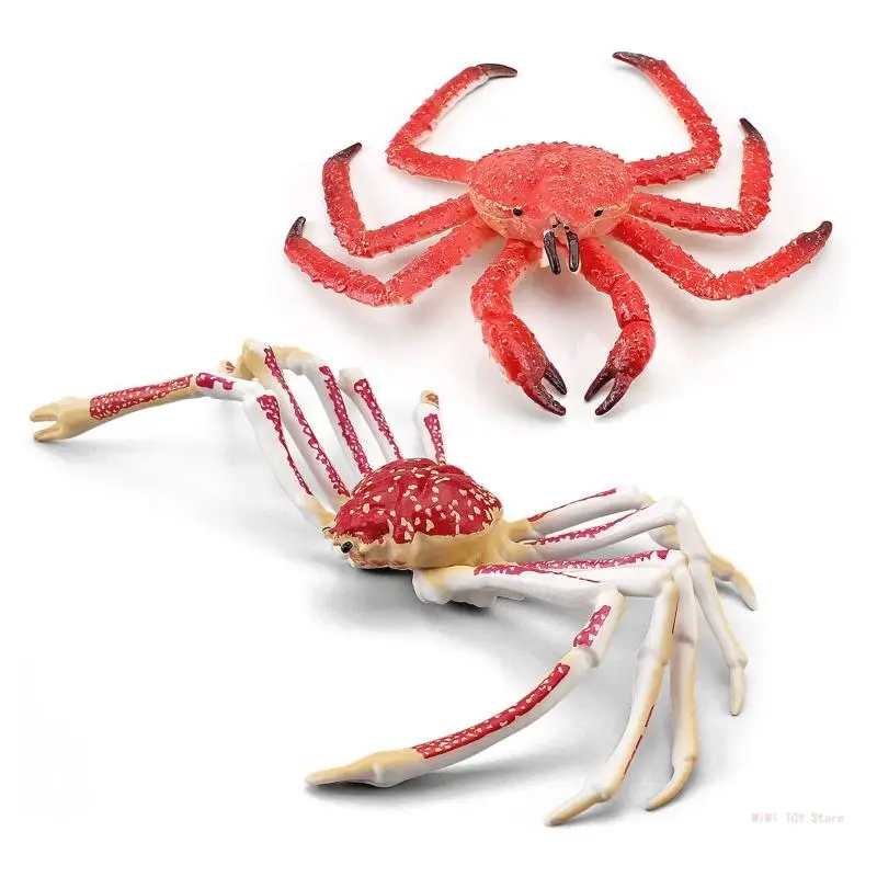 

Realistic Ocean King Gag Gift for Kids&Adults Kids Party Favor for Creative Supplies for Age 6+ Kids/Adults