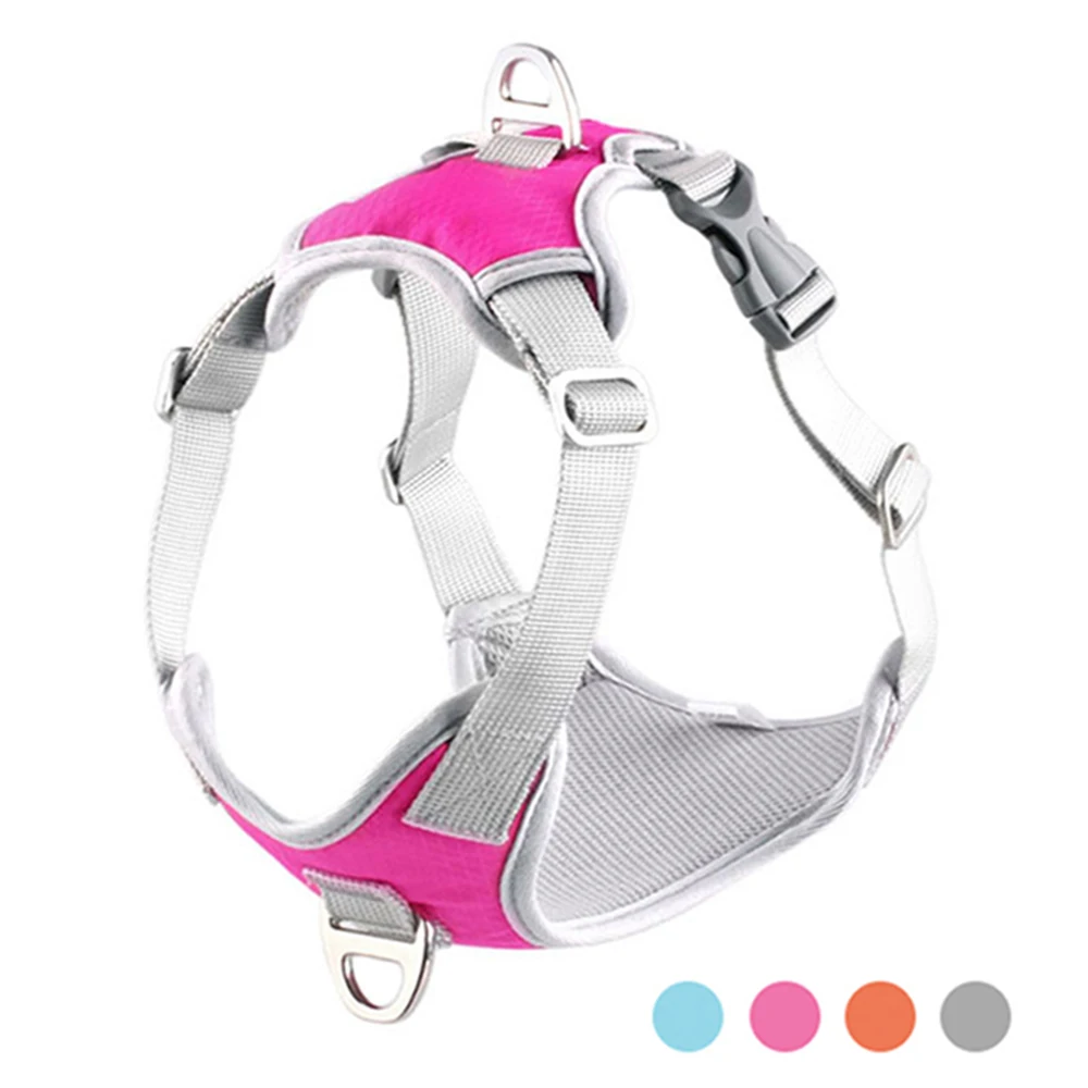 kong walking harness