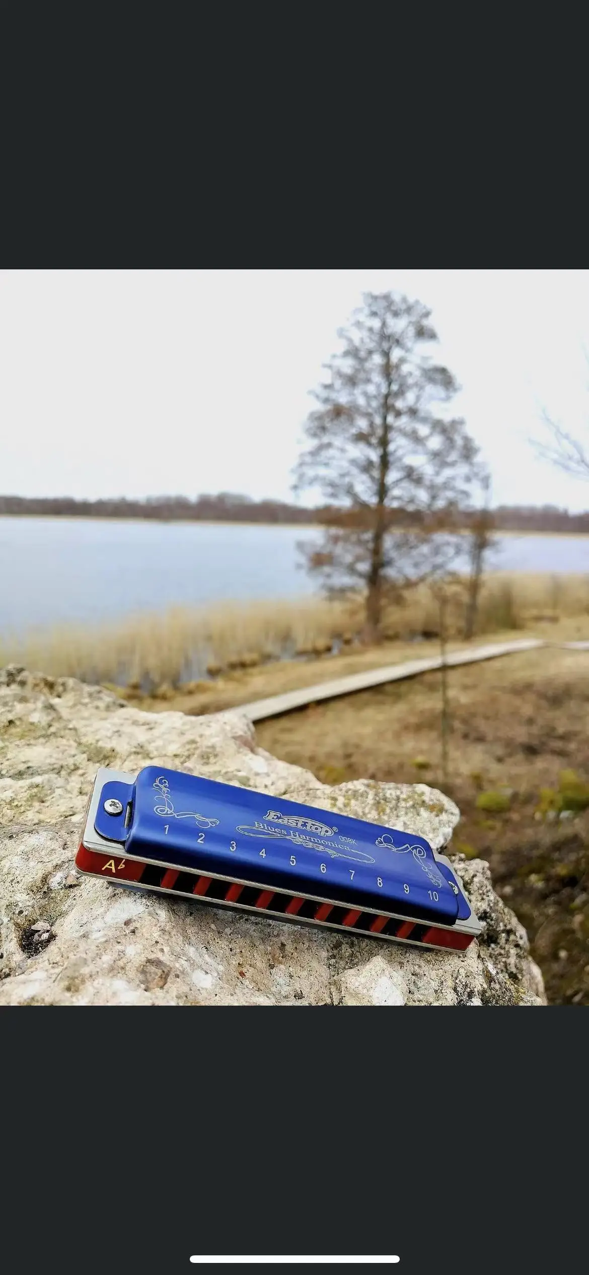 Diatonic Harmonica EASTTOP T008K Diatonic Blues Harp