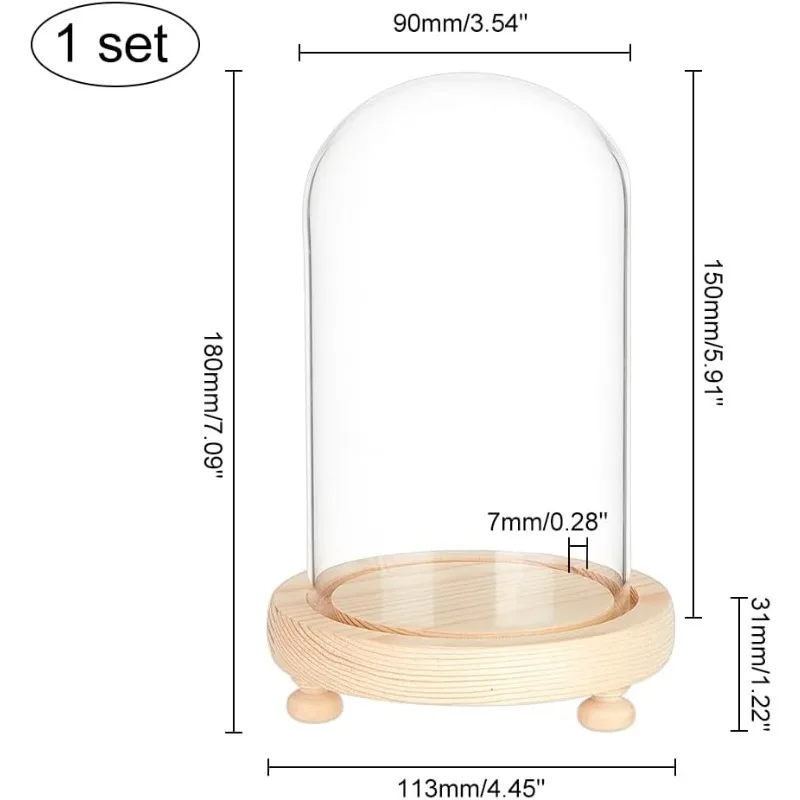 Glass Dome with Base Glass Cloche Bell Jar 1pcs Display Plants Rose Flower Display Clay Succulents Storage Home Christmas Party