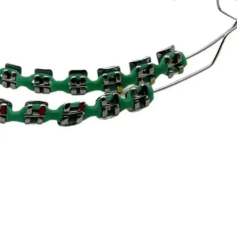 1Pair Dental Metal Braces Archwire Without Hooks Metal Bracket And Orthodontic Ligature Ties Colorful Temporary Tooth Decoration 2
