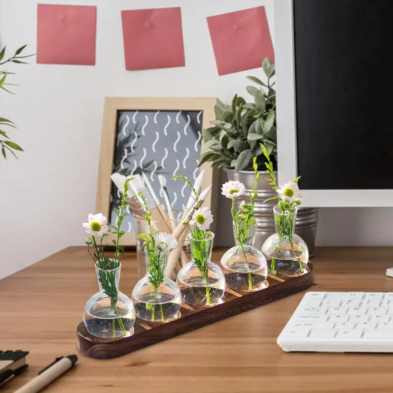 5 Bottle Glass Propagation Planter 5 | 5 Bottle Glass Propagation Planter 4
