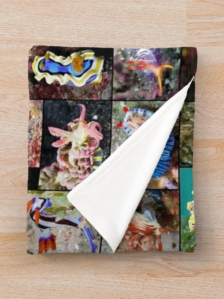 �ٴ� ������ ������ ���, ��Ʈ, �߷�Ÿ�� ���� ���̵��, ���� ���