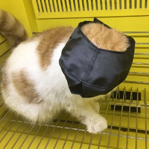 통기성 나일론 고양이 얼굴 마스크 그루머 도우미, 목욕 긁힘 방지, 물기 방지, 고양이 손질 도구, 애완 동물 용품 4