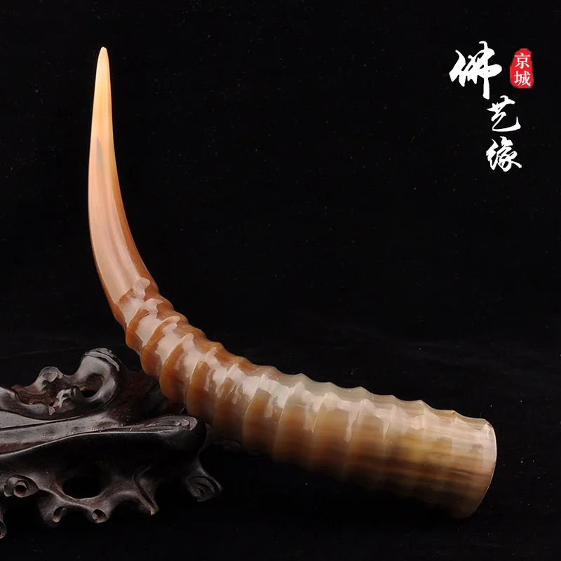 

Natural Plateau Golden Silk White Yak Skull Spiral Pattern Home Decoration with Original Horn Bone Integrated White Yak Skull Ra