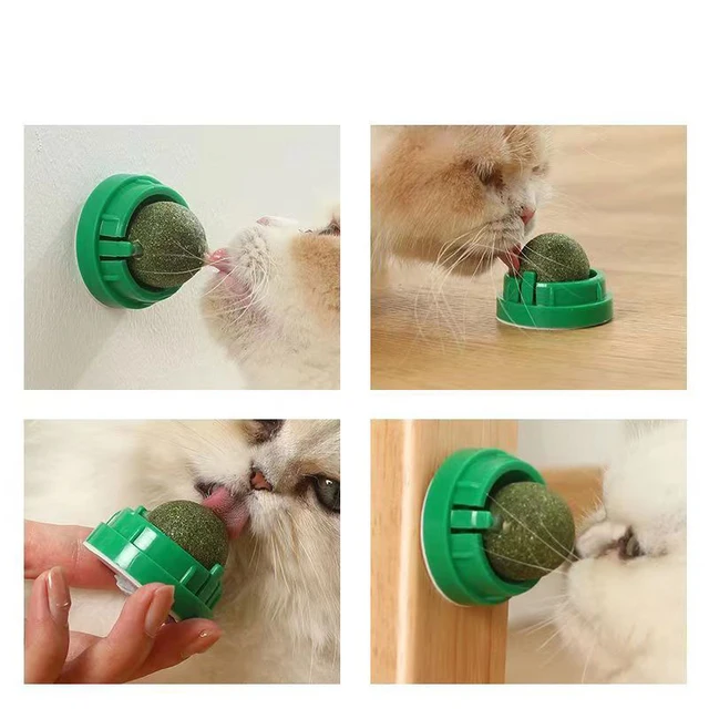 Cat Catnip Stick-on Wall Ball 4