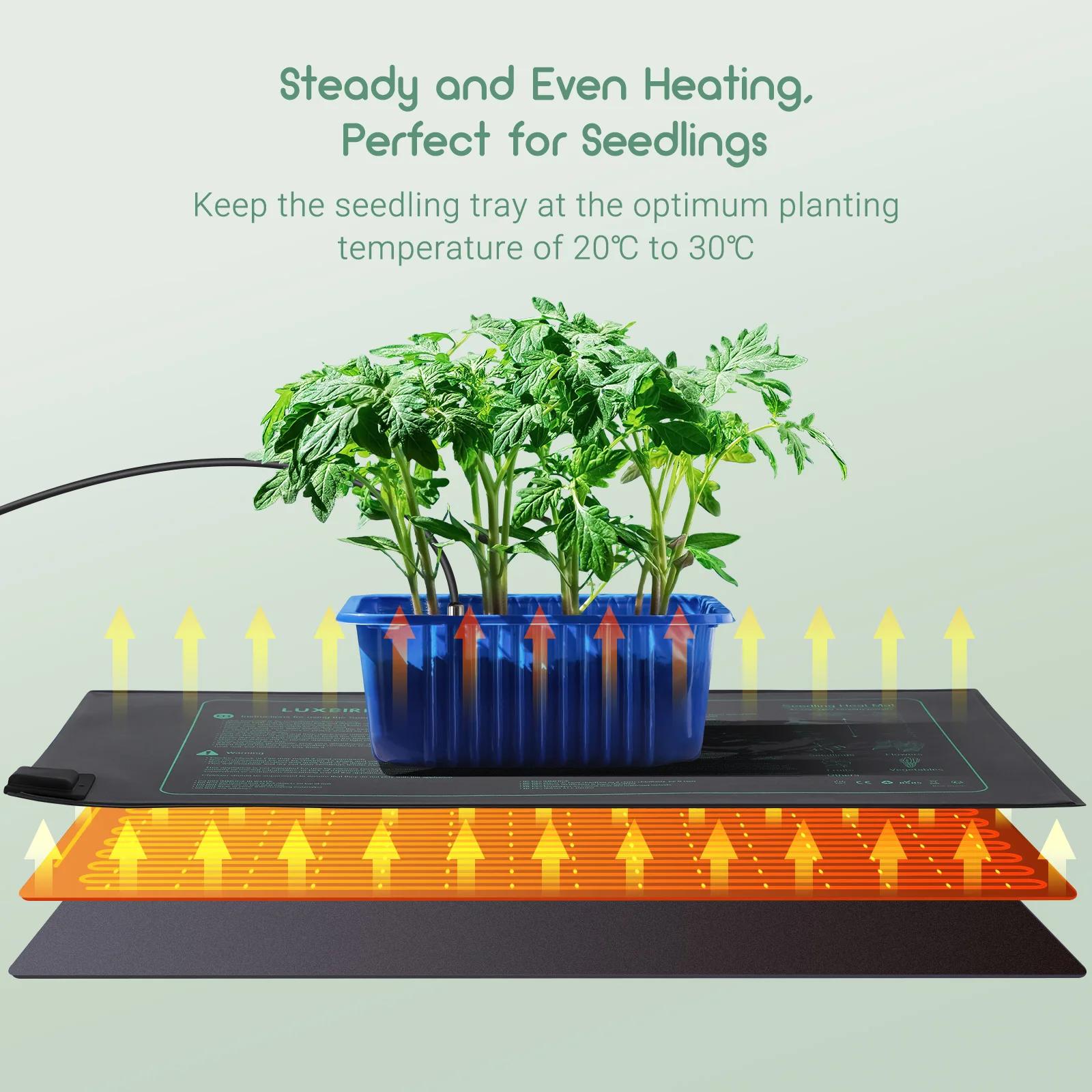 LUXBIRD EU Plug Plant Heating Mat with Thermostat 10*20.75 inches IP67 Waterproof Heated Pad for Indoor Planting,Home Brewing